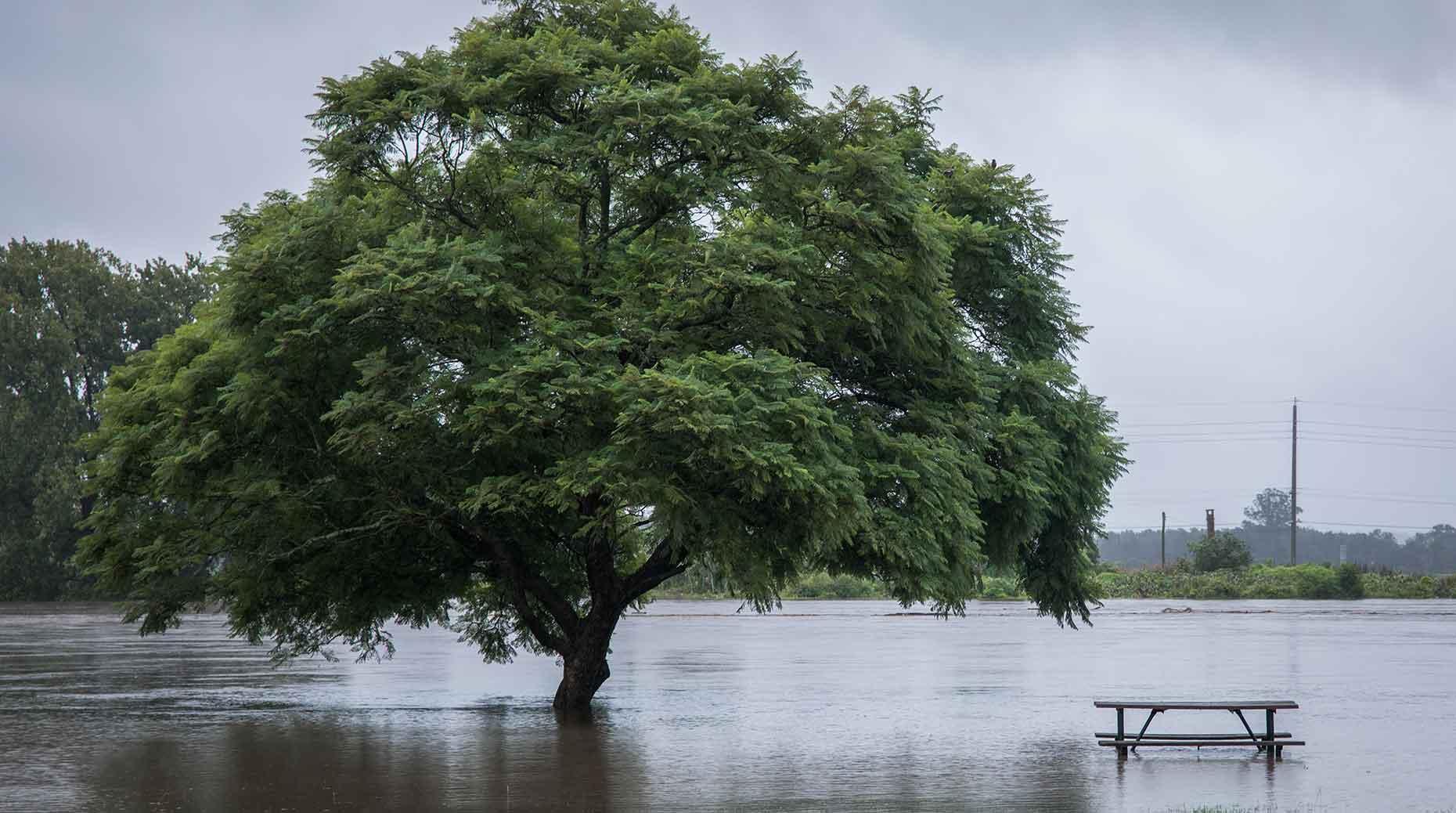 Visuel Inondations : Axa Climate intègre les modèles de Fathom