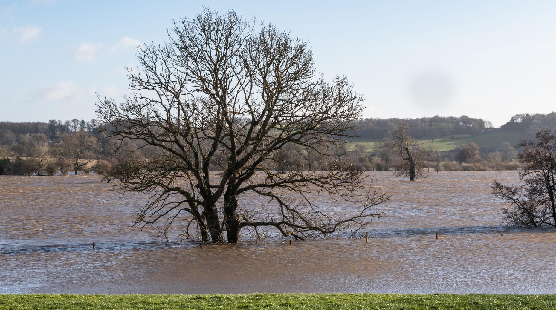 Inondations : Les assureurs appelés à la "mobilisation générale"