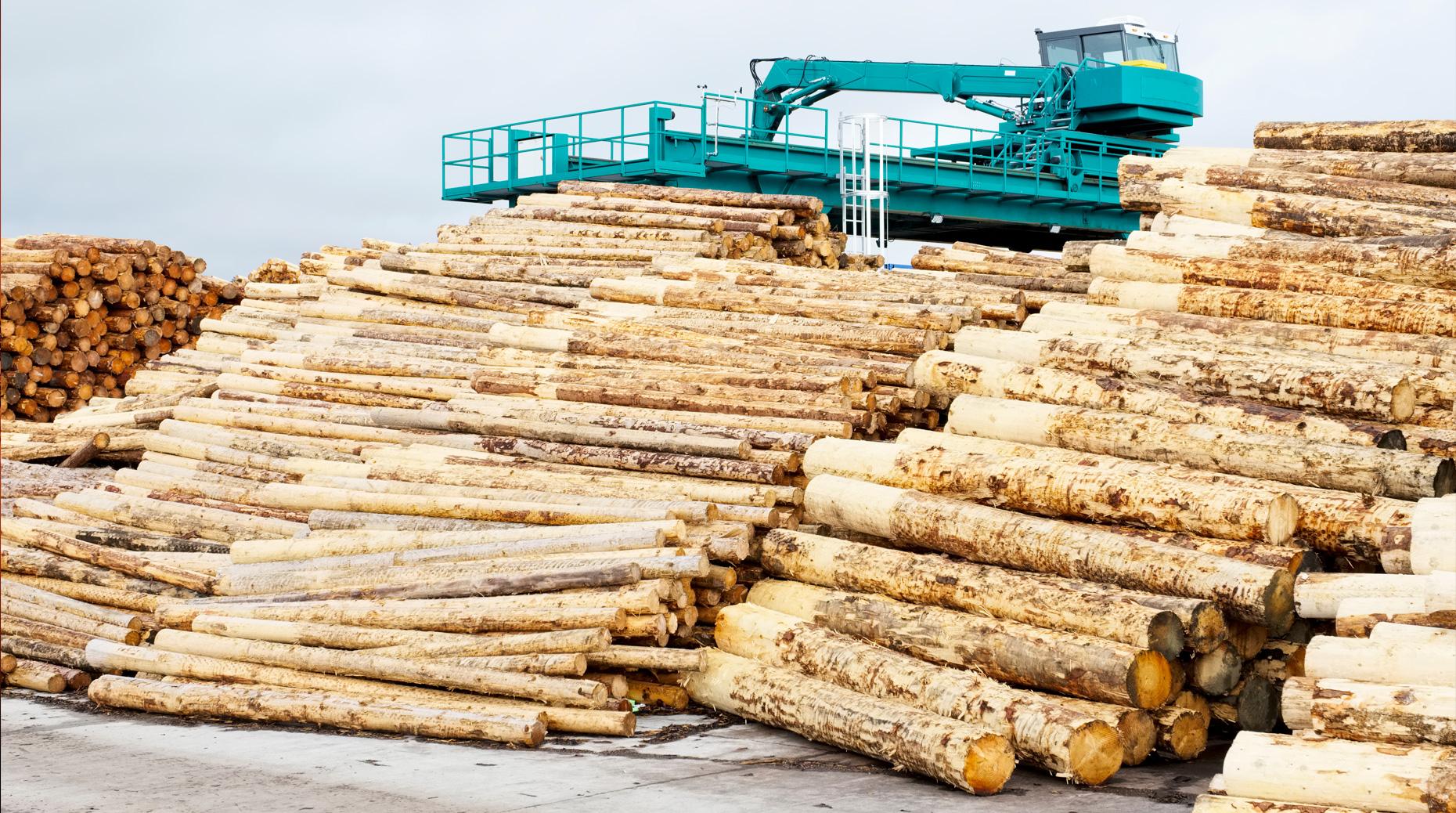 Captives : Piveteau Bois planche à son tour