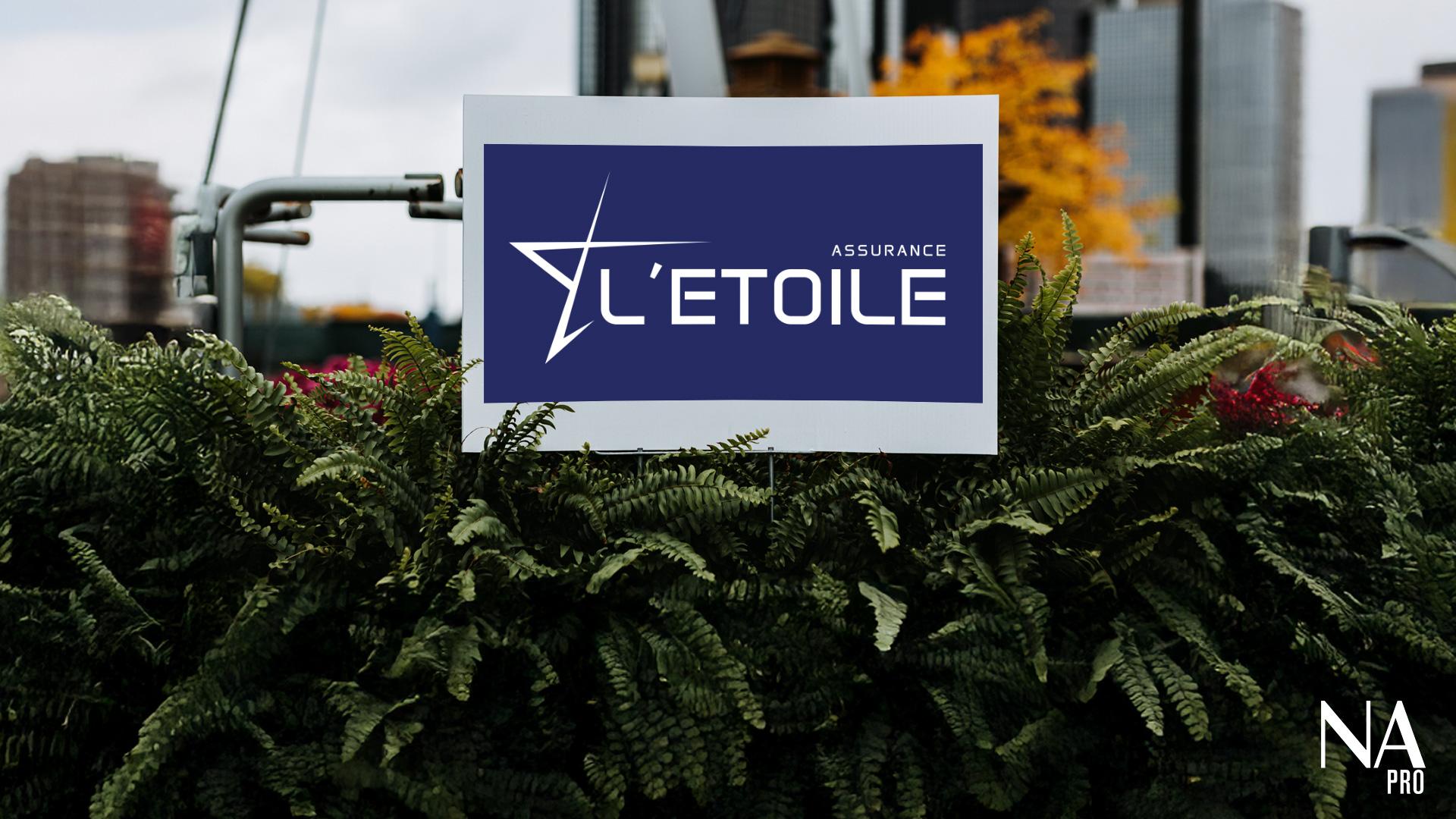 Visuel Résultats 2025 : Chiffre d’affaires et bénéfice en baisse pour L’Étoile
