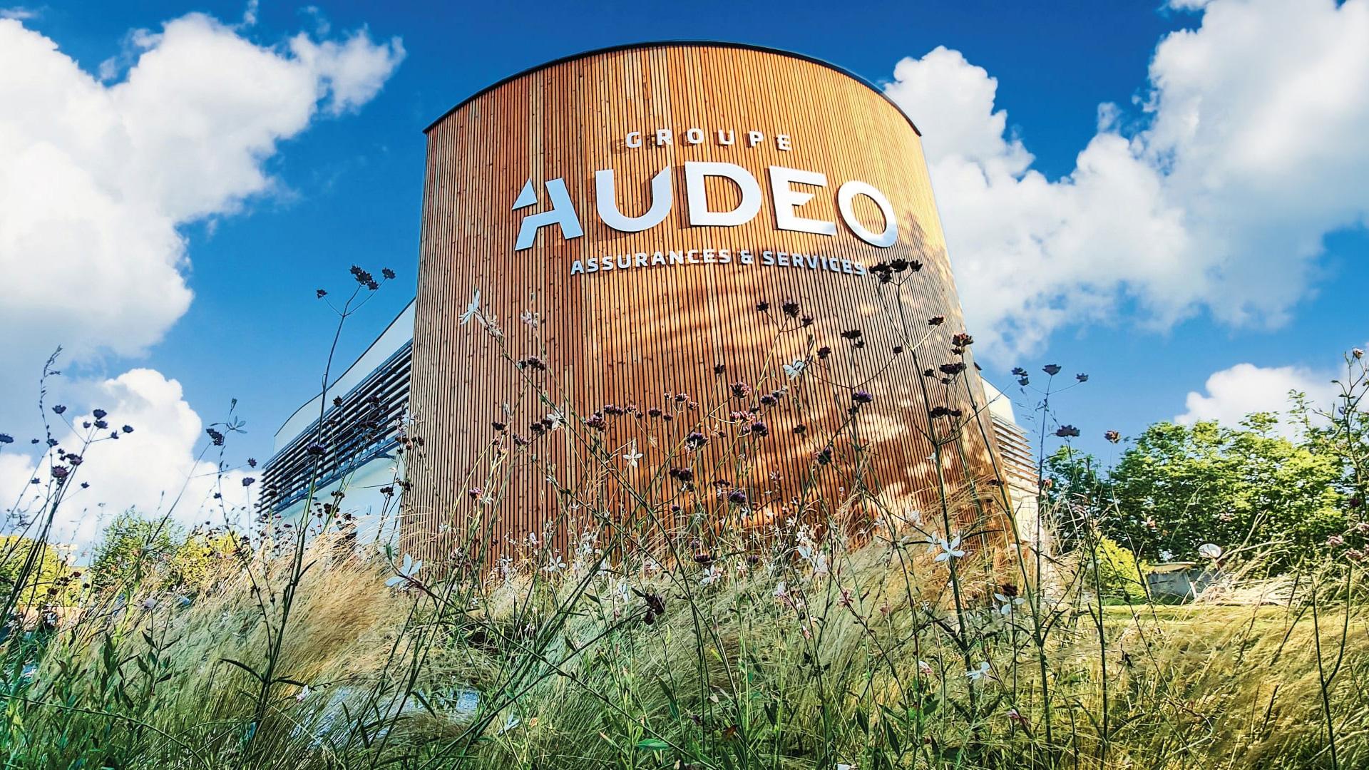 Visuel Résultats 2025 : Audeo poursuit sa progression