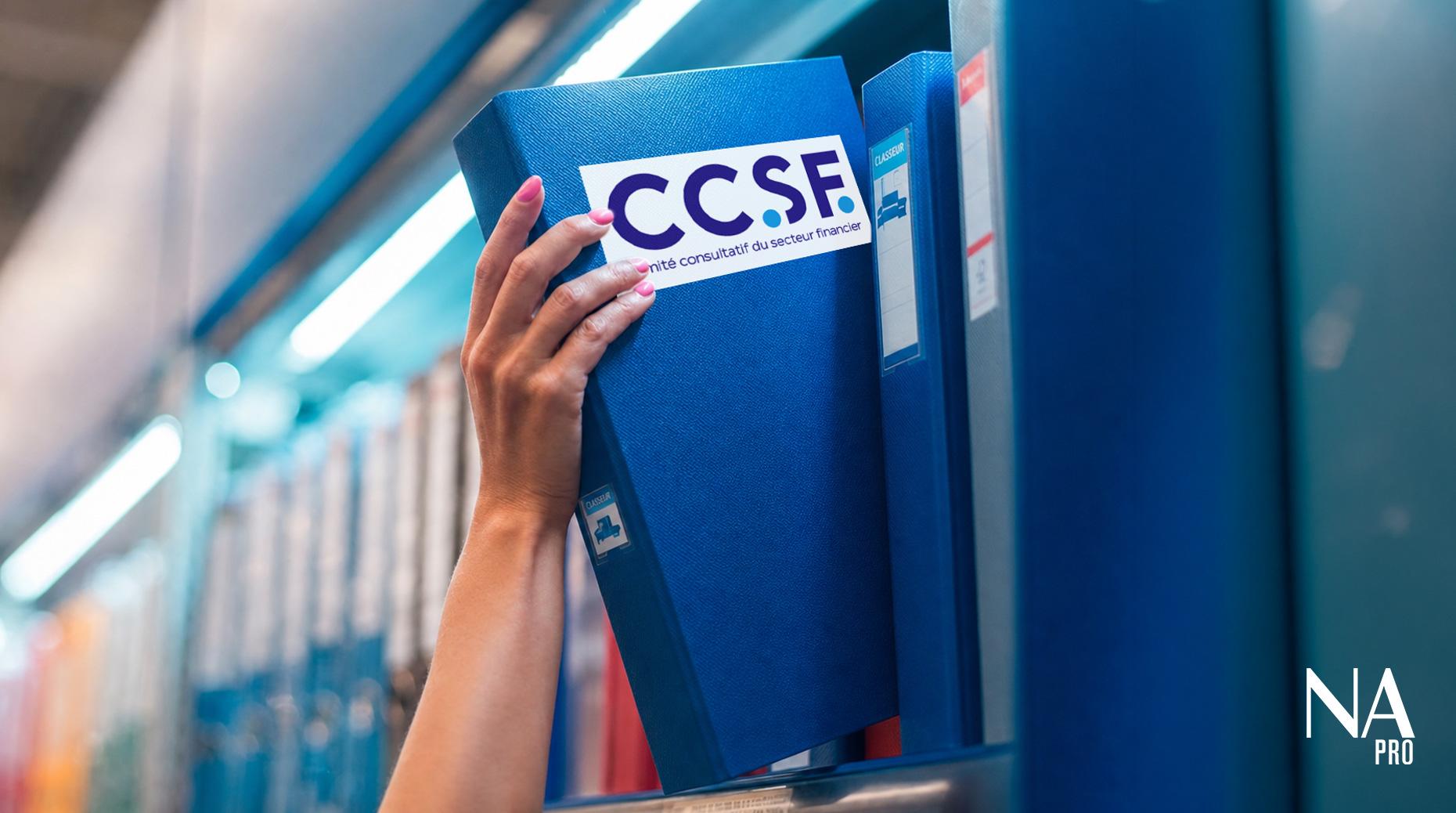 Emprunteur : Le CCSF acte plusieurs nouveaux engagements
