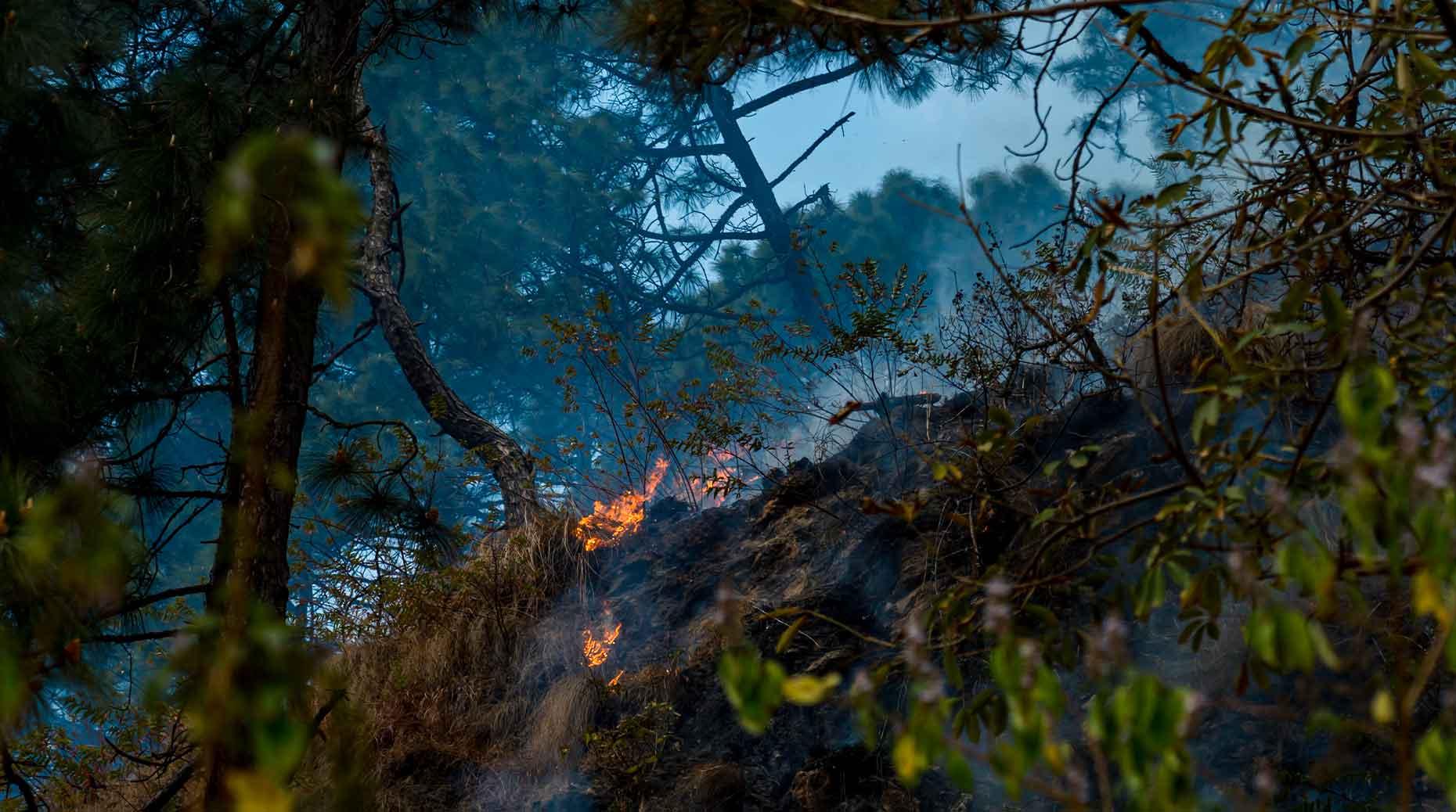Climat : L’Europe face au risque de protection insuffisante