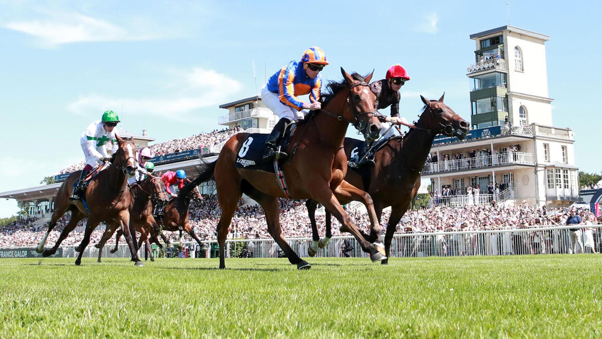 Visuel Grands risques : France Galop met Finaxy en selle
