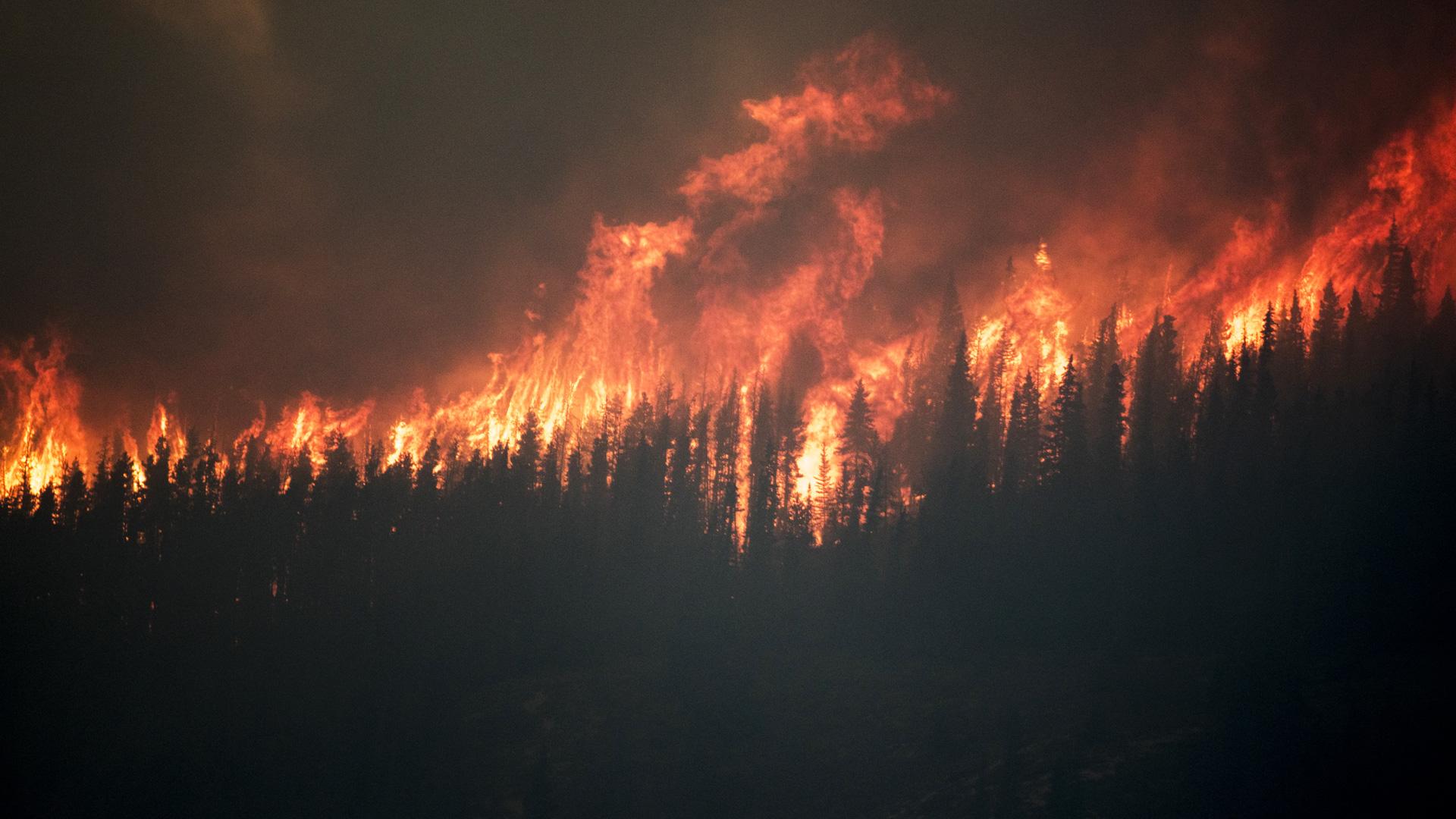 Visuel Incendies : Les assureurs prennent des mesures d’urgence