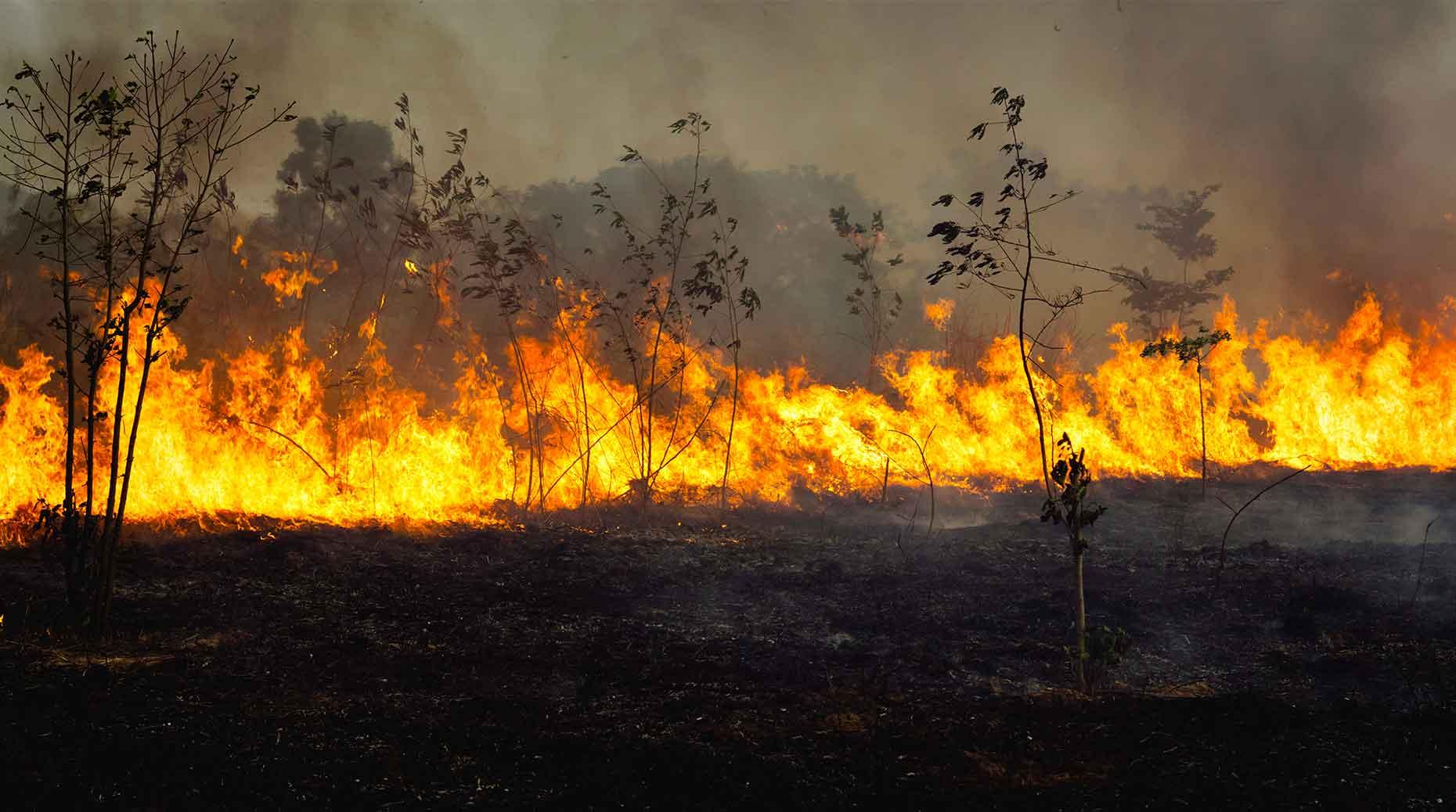 Incendies : Une mobilisation tous azimuts face à l’urgence