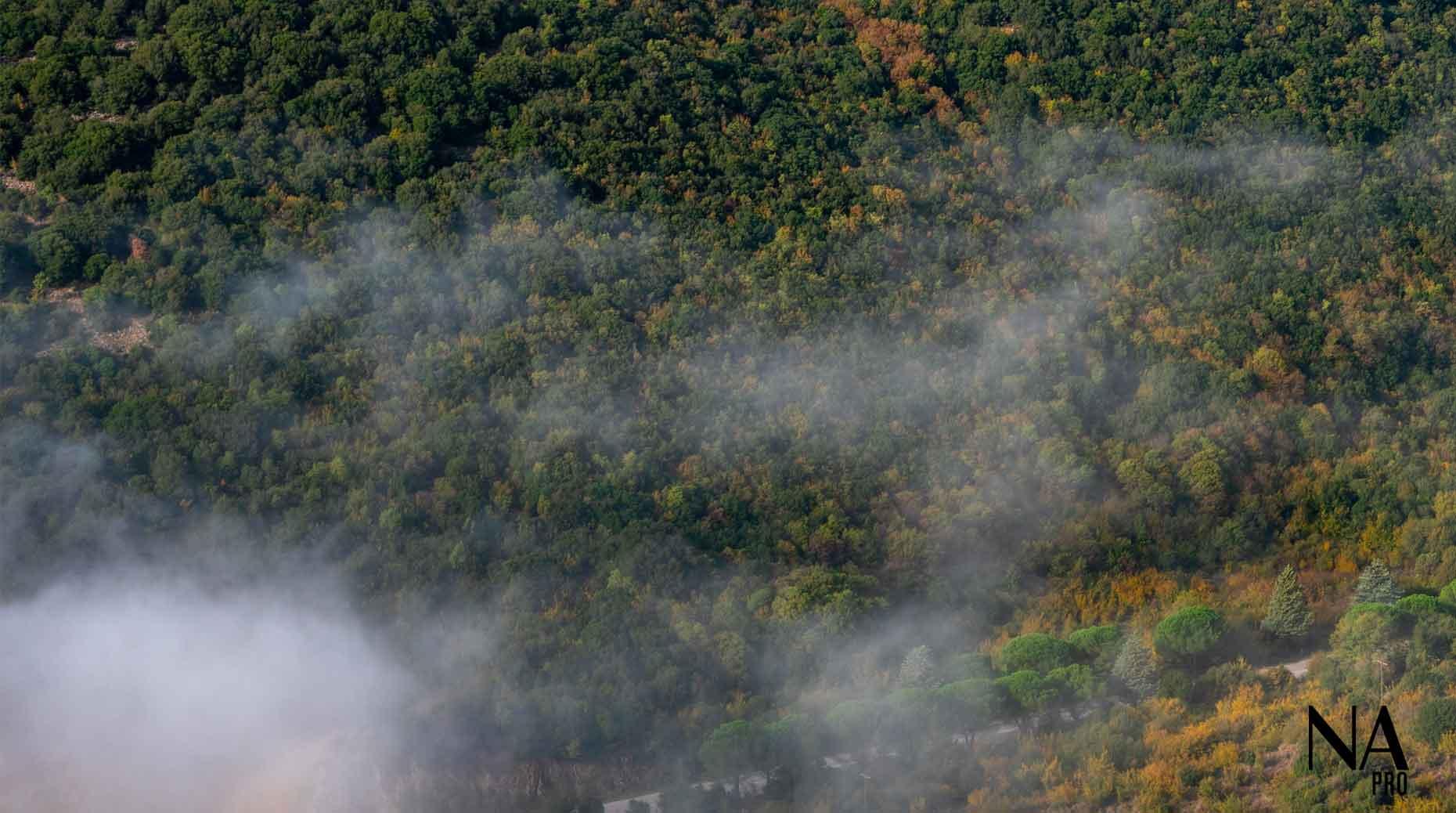 Incendies : Un risque maîtrisable, mais une exposition en mutation