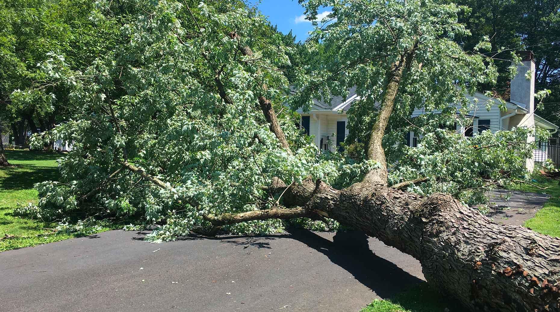 Tempête Nils : 695 millions d’euros de pertes assurées selon Périls