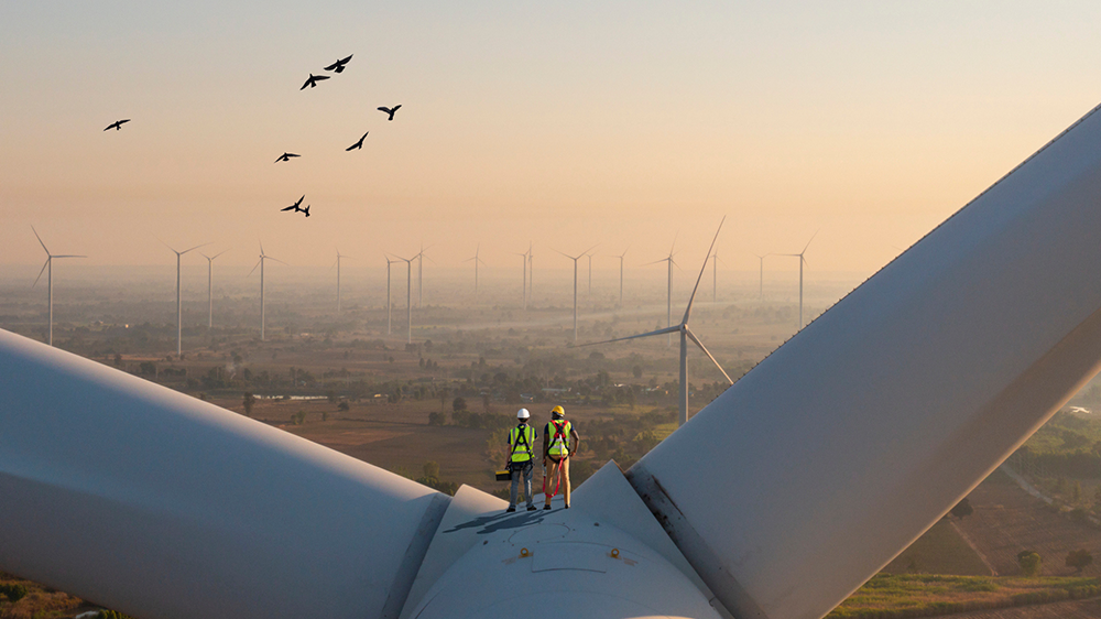 Énergies renouvelables : décryptage et solutions d’assurance sur mesure